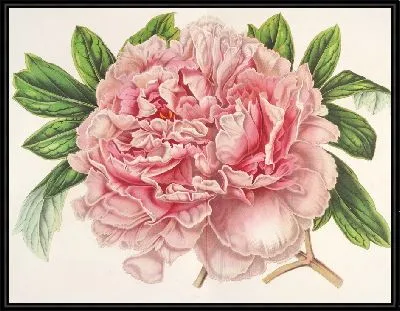 Картина Пивуан Александр II (1854-1896)