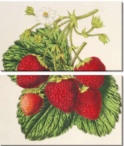 Картина Производитель клубников Оскар (1854-1896)