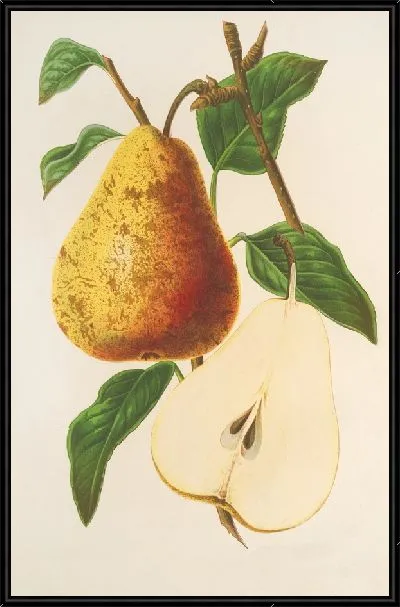 Картина Пуаре Бёрре Спае (1854-1896)