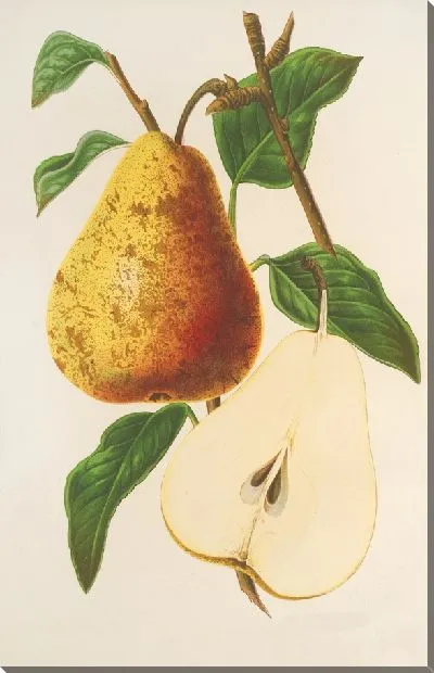 Картина Пуаре Бёрре Спае (1854-1896)