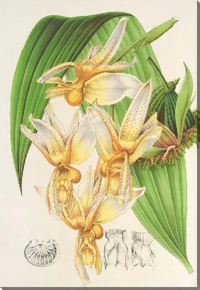 Картина Радиостанция Станция (1854-1896)