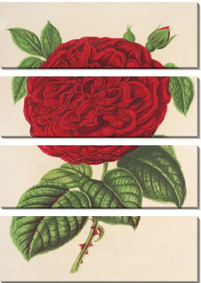 Картина Роза герцогиня де Медина-Сели (1854-1896)