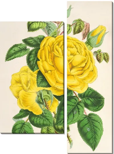 Картина Роза Изабель Грей (1854–1896)