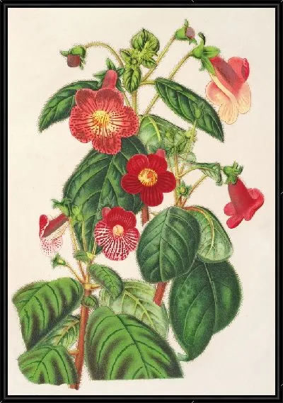 Картина Тидея (1854-1896)