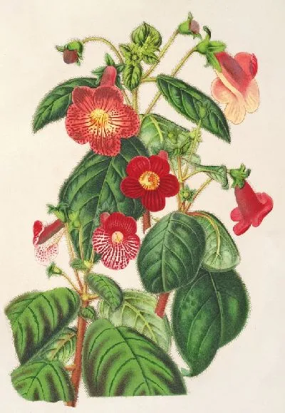 Картина Тидея (1854-1896)
