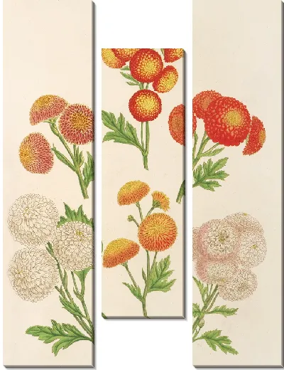 Картина Хризантемы (новые) Лиллупутенс (1854-1896)