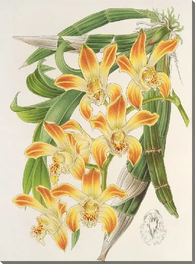 Картина Хрисис Гладкий (1854-1896)