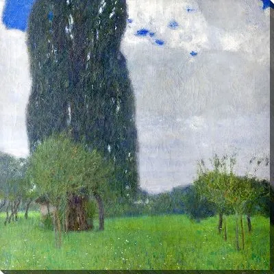 Большой тополь I