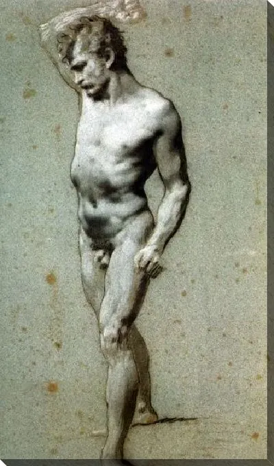 Картина Академия усаженного голого человека (Academie d'homme nu assis)