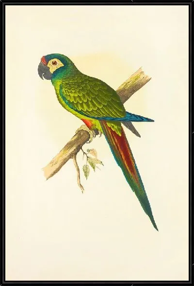 Картина Ара Иллигера (1884-1887)