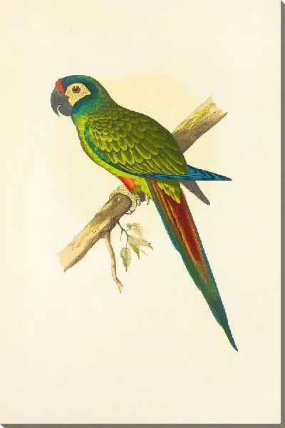 Картина Ара Иллигера (1884-1887)