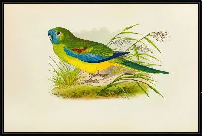 Бирюзовый (1884-1887)