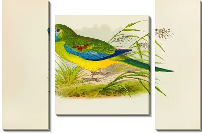 Бирюзовый (1884-1887)