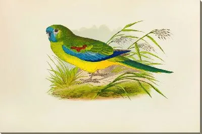 Картина Бирюзовый (1884-1887)