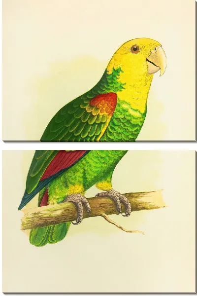 Картина Двуликая или Амазонка Ле Ваяна (1884-1887)