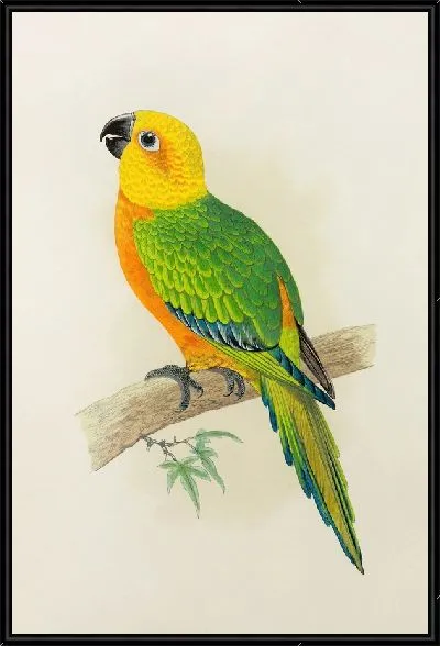 Картина Джендайя Конуре (1884–1887)