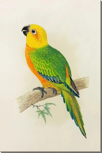 Картина Джендайя Конуре (1884–1887)