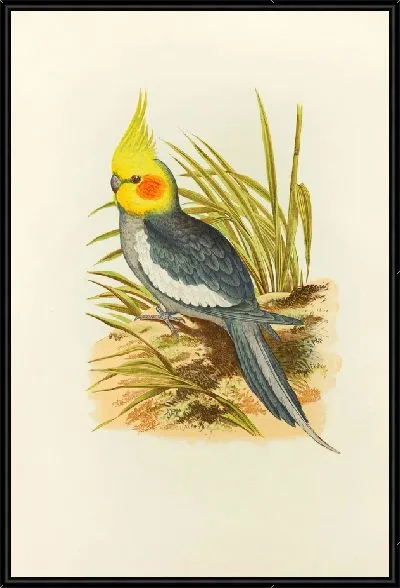 Картина Корелла (1884-1887)