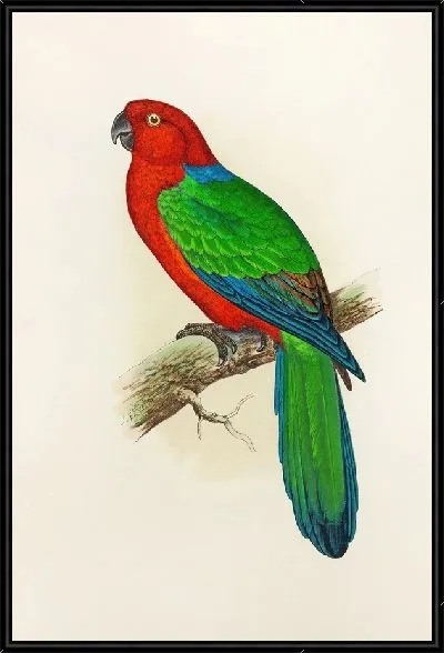 Картина Красный блестящий попугай (1884-1887)