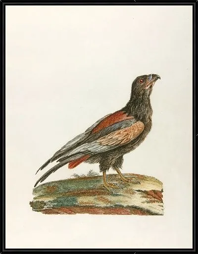 Картина Джаггернаут