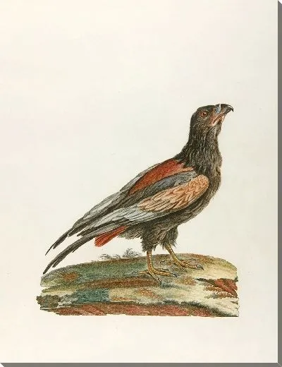 Картина Джаггернаут