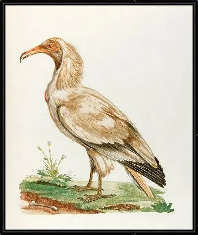 Картина L'Ourigorap (18 век)