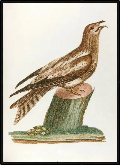 Картина Ангулевент (18 век)