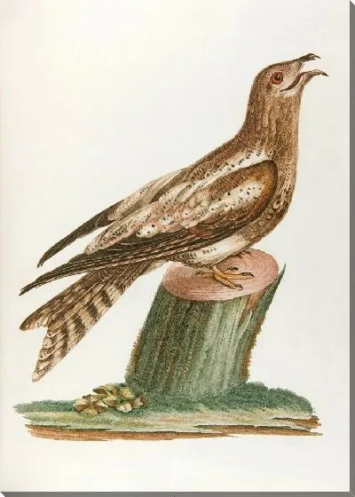 Картина Ангулевент (18 век)