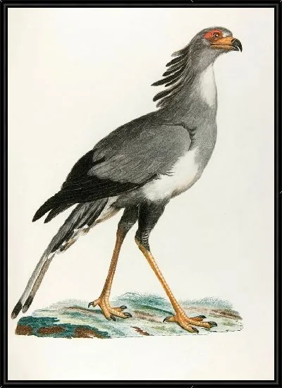 Картина Змеиный двор (18 век)