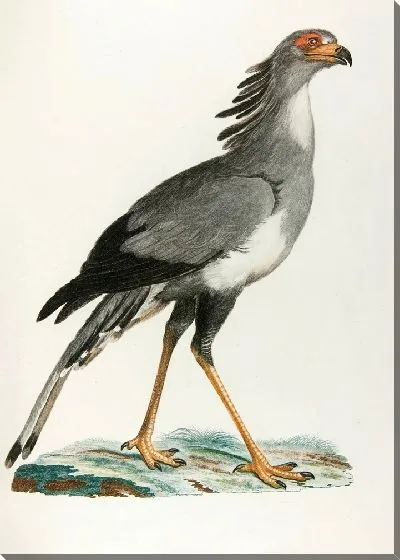 Картина Змеиный двор (18 век)