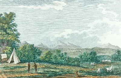 картина