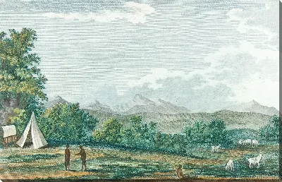картина