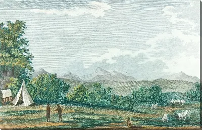 картина