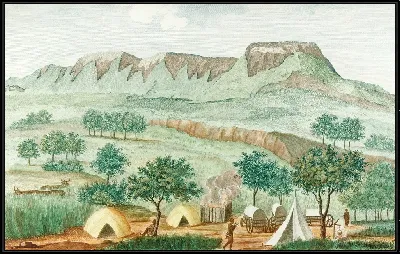 картина