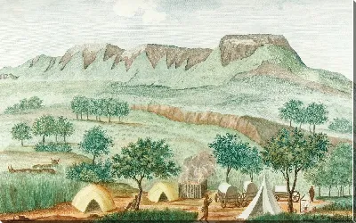 картина