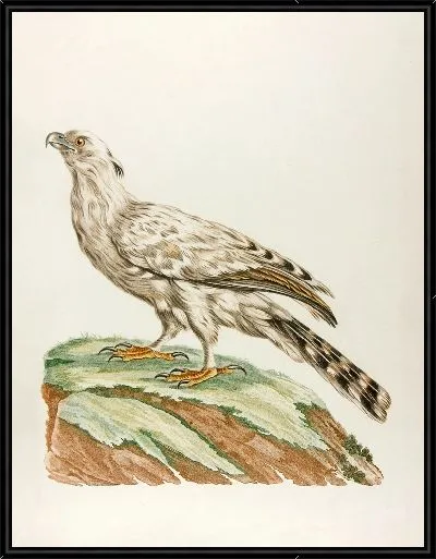 Картина Ле Бланшар (18 век)