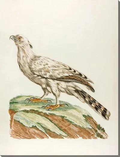 Картина Ле Бланшар (18 век)