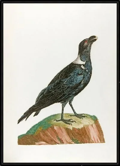 Картина Ле Корбиван (18 век)