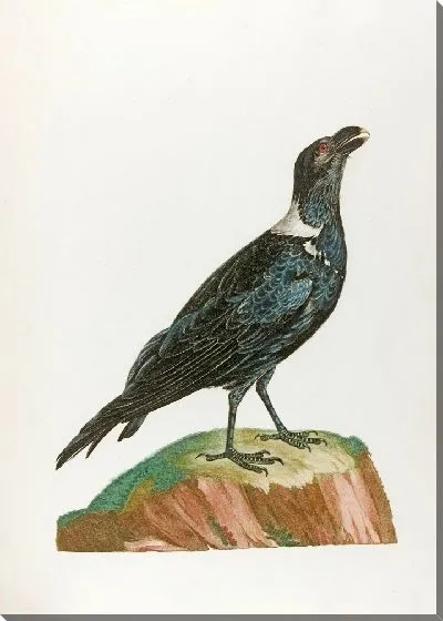 Картина Ле Корбиван (18 век)