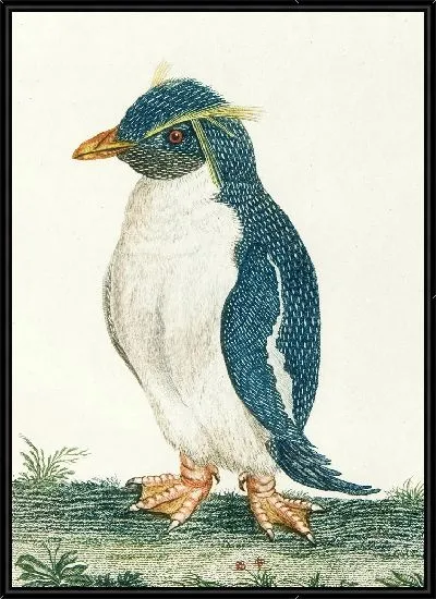 Картина Ле маншо эгрет (18 век)