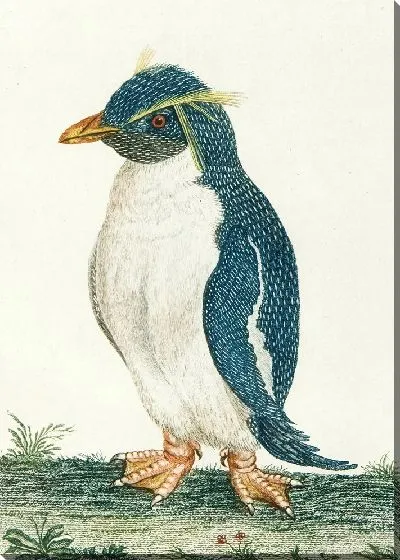 Картина Ле маншо эгрет (18 век)