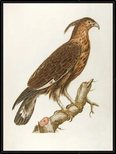 Картина Ле-юппард (18 век)