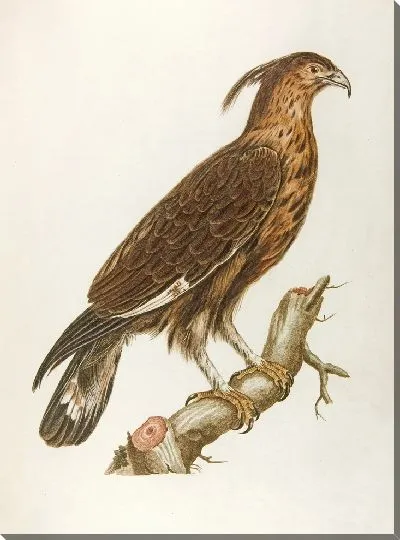 Картина Ле-юппард (18 век)