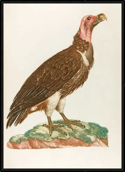 Картина Л'Орику (18 век)