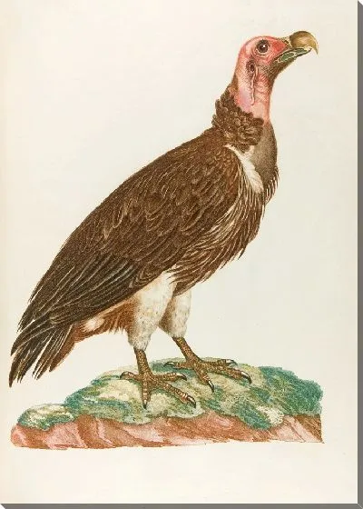 Картина Л'Орику (18 век)