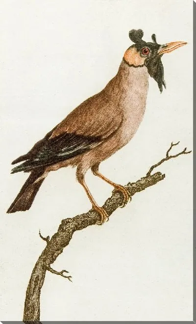 Картина Порт Ламбо (18 век)