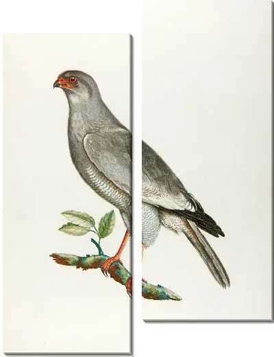 Картина Сокол-певец (18 век)