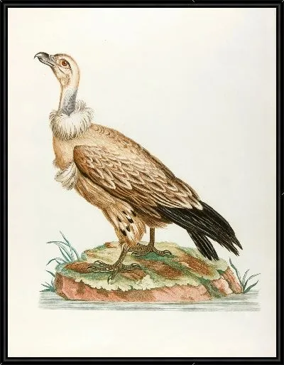 Картина Шасс-фиенте (18 век)