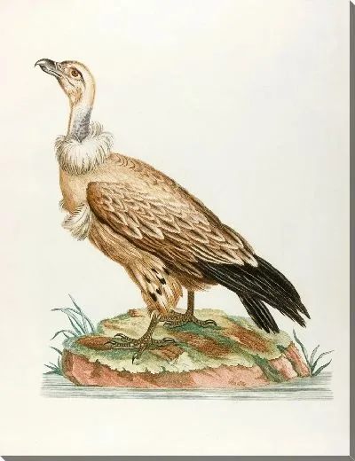 Картина Шасс-фиенте (18 век)