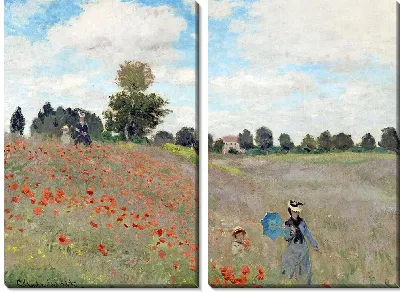 Картина Маки